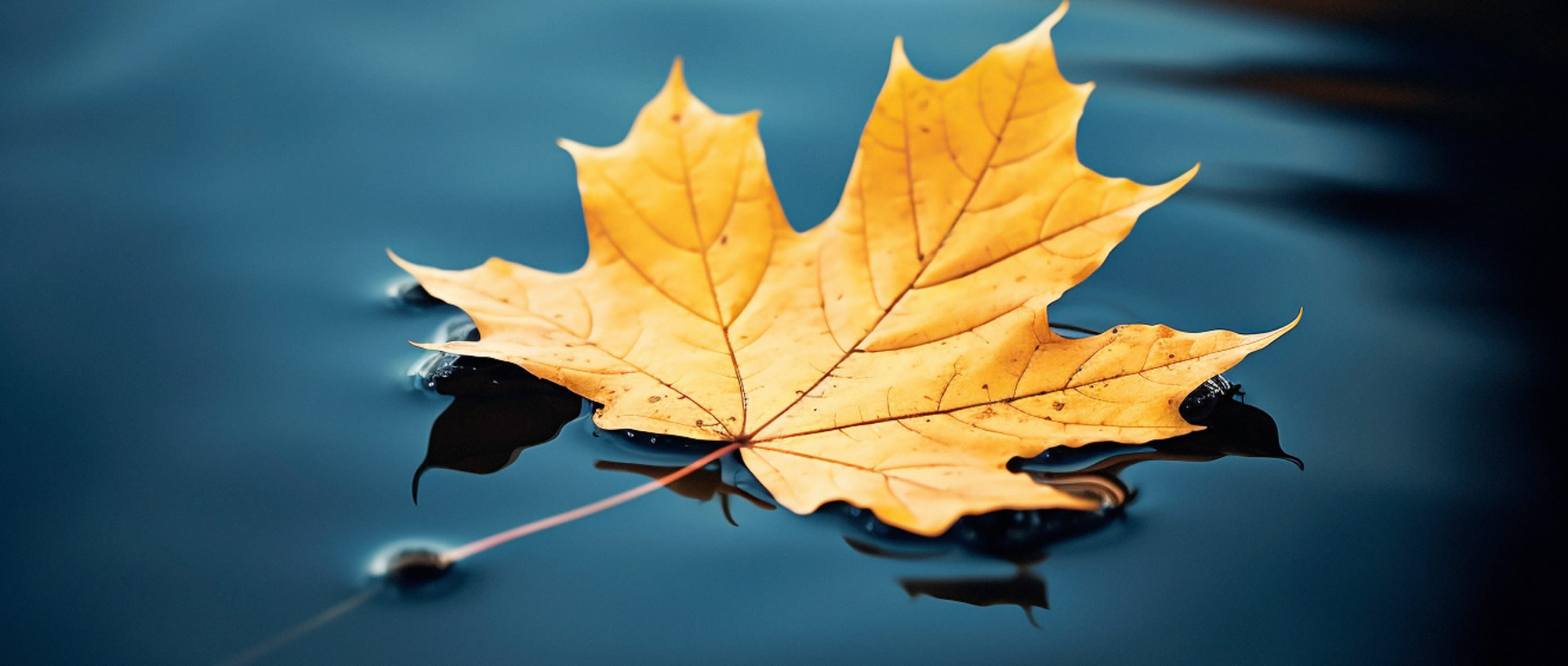 Résidences étudiants