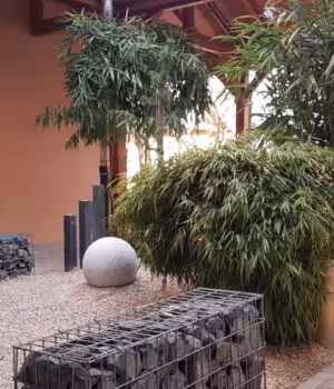 Formations CFA71 Site de Saint-Marcel