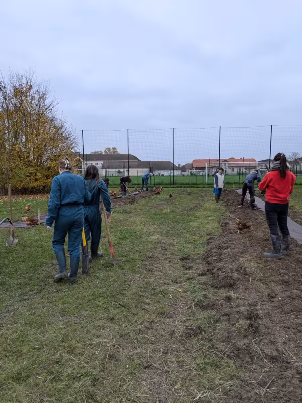 WhatsApp Image 2024-11-15 at 12.25.47 (2)