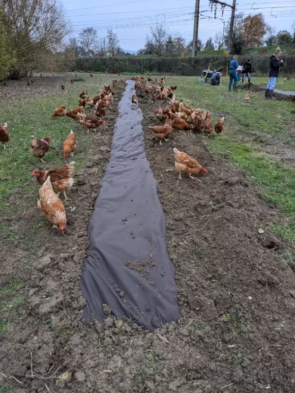 WhatsApp Image 2024-11-15 at 12.25.47