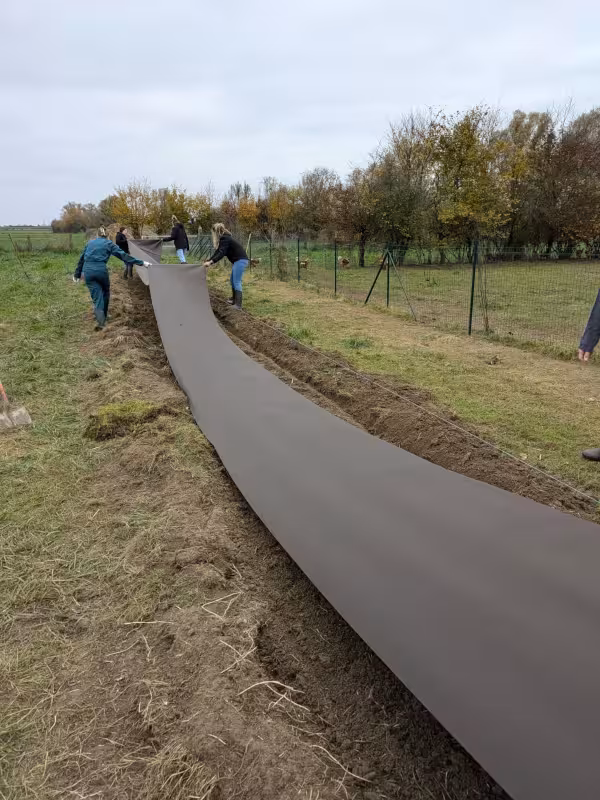 WhatsApp Image 2024-11-15 at 13.17.53