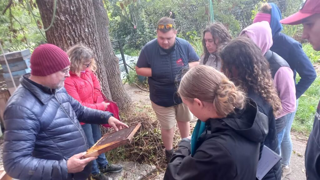 WhatsApp Image 2025-09-25 at 21.03.37 1