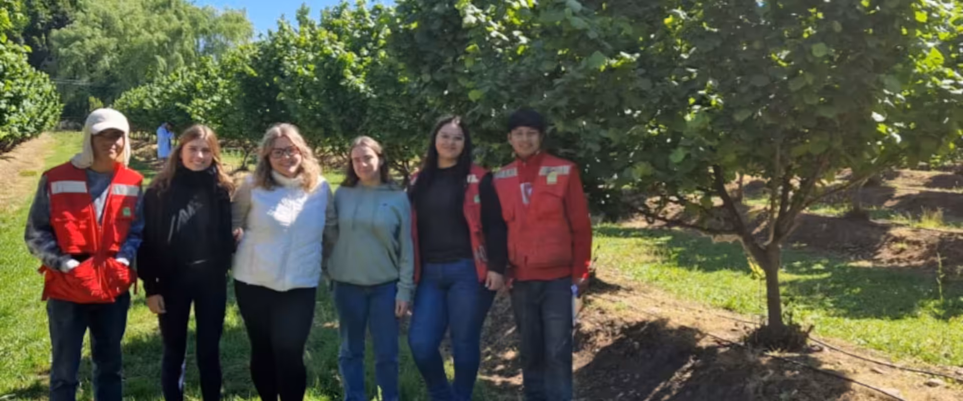 Mobilité internationale