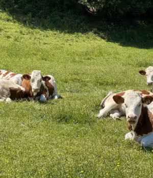Exploitation agricole site de Fontaines
