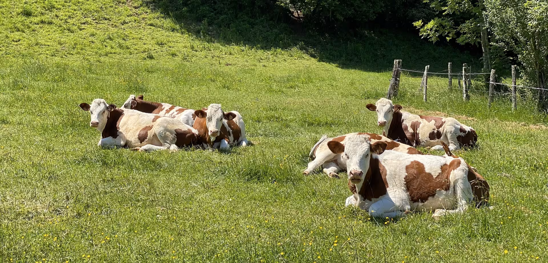 Exploitation agricole site de Fontaines