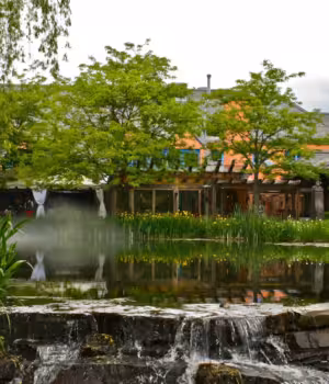 Formations en aménagement paysager