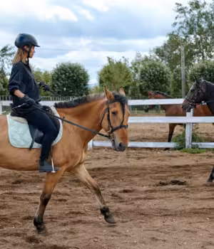 Formations sportives