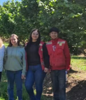 Mobilité internationale